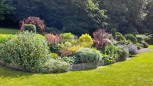 A border in a garden at Lifton, planted around 8 years ago