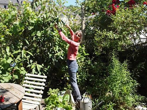 Emma Crow at work pruning climbing plants