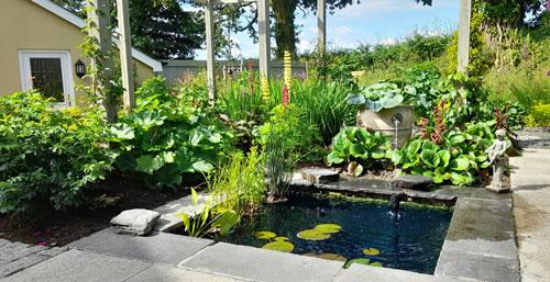 The garden now landscaped garden with pond