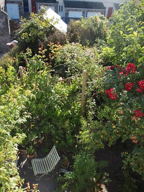 A mature garden in Tavistock 