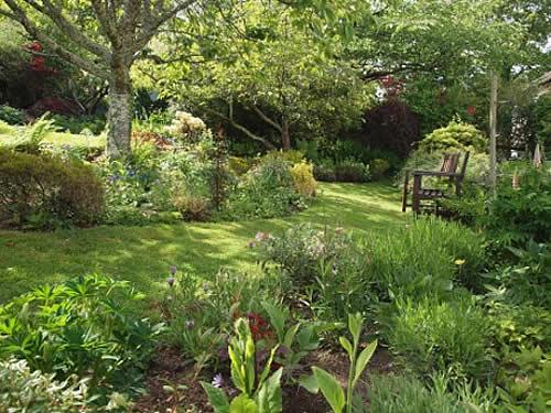 Woodland garden with grass path and seating area