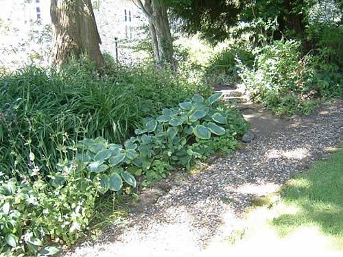 Garden at Walkhampton