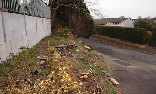 Sloped garden in Tavistock, large conifers just removed