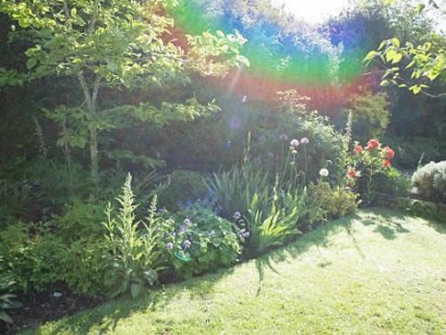 Garden in Yelverton