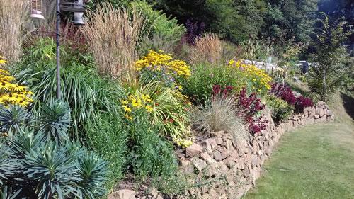 A garden in Lifton