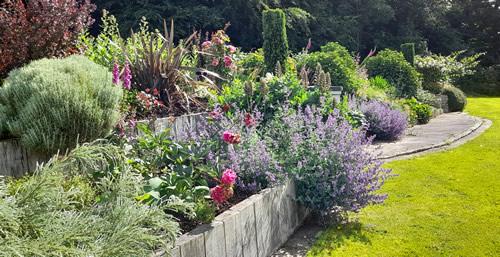 A garden in Lifton