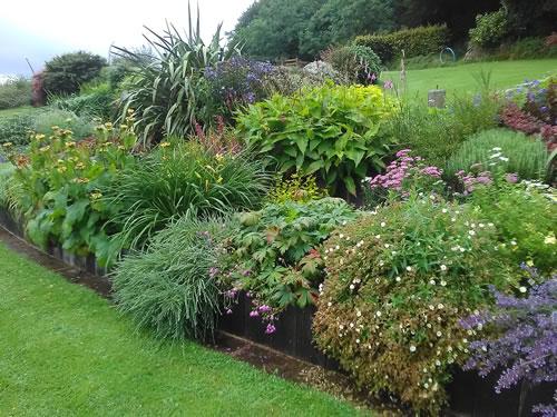 A garden in Lifton