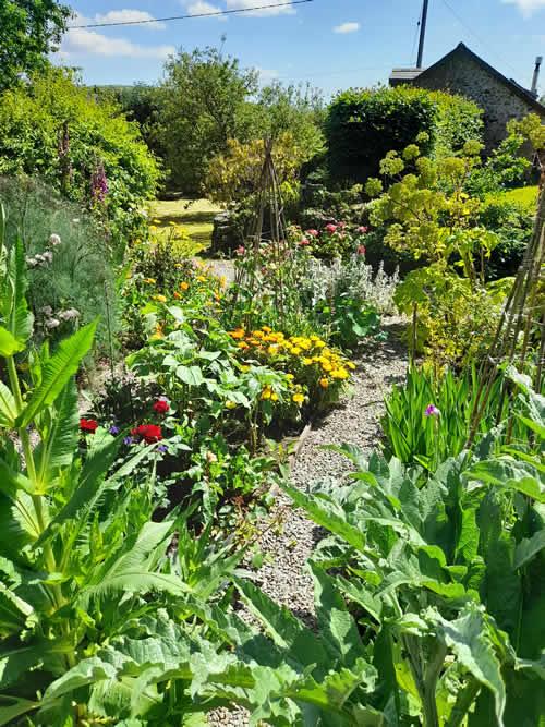 A potager now full of colourful planting