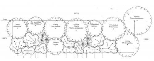 Planting plan showing planting by variety, position and final spread